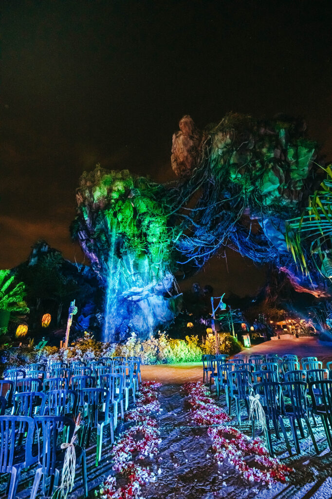 Walt Disney World's Pandora for Disney Wedding