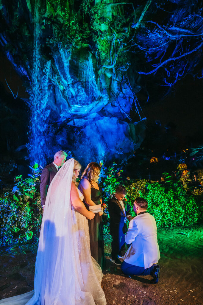 Bride and Groom in Walt Disney World's Pandora for Disney Wedding